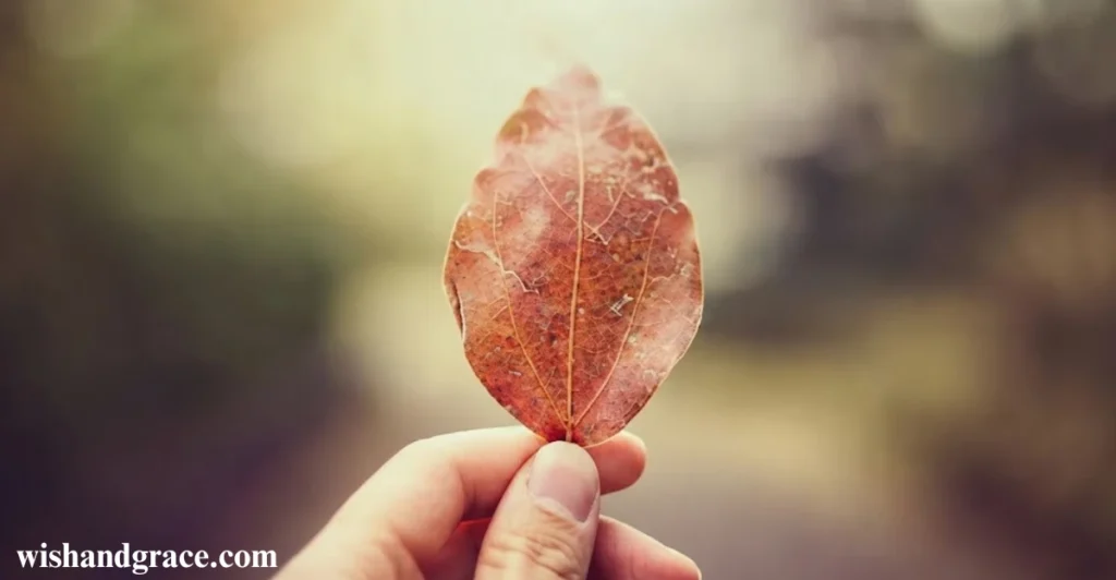 How to Wish Happy October in Simple Words