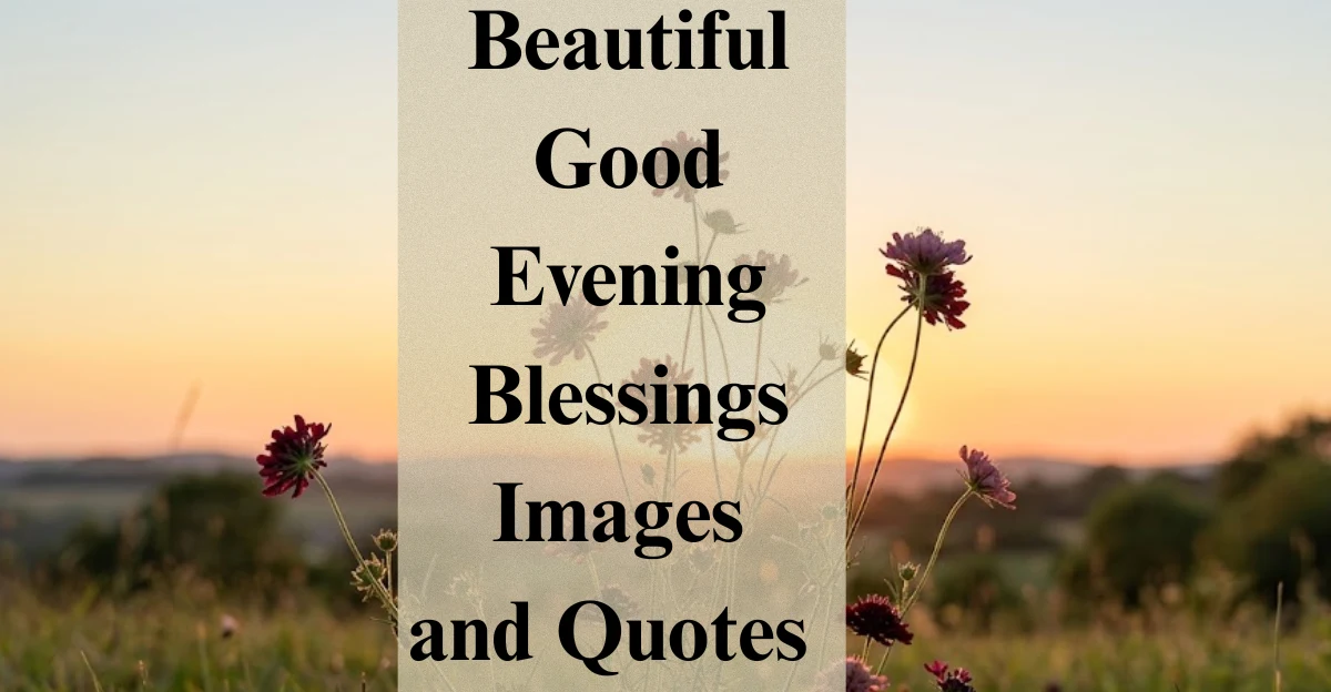 80 Beautiful Good Evening Blessings Images and Quotes